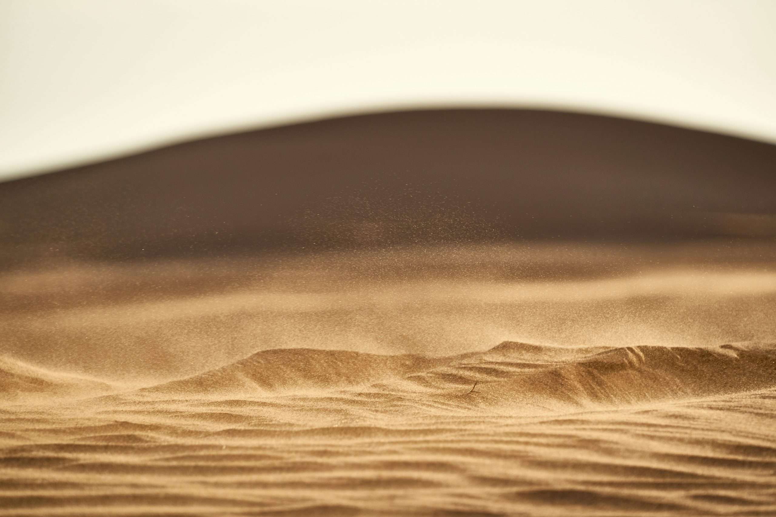 Fintech Sandbox data partners providing free datasets to early-stage startups across the global Data Access Residency program