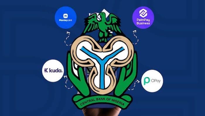 N50 Electronic Levy Imposed On Fintech Users In Nigeria.jpeg