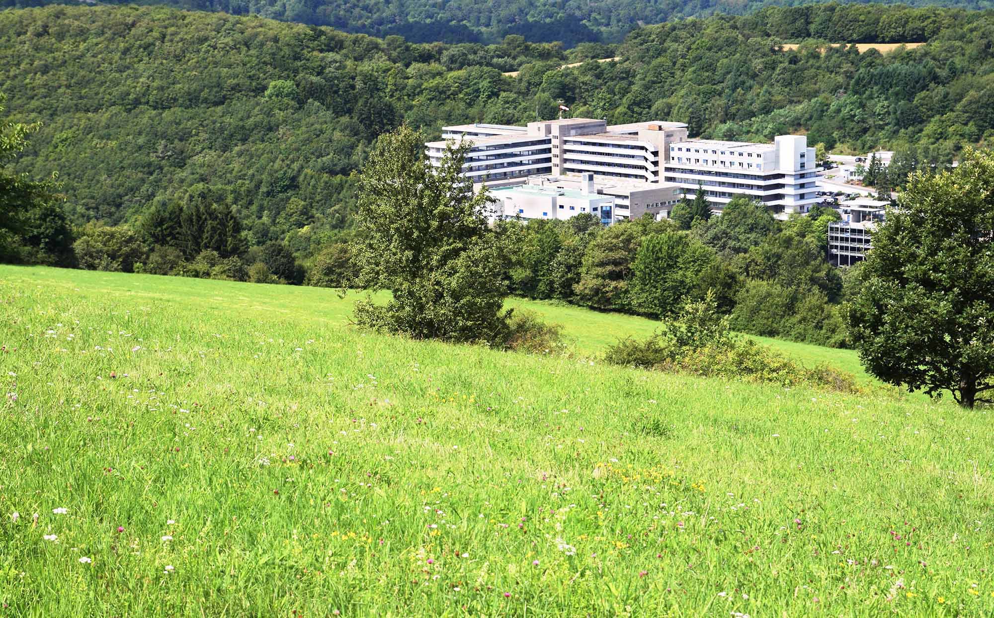 Ruralhospital.knaupe.jpg