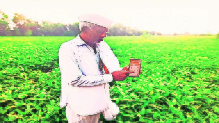Farmer efe1.jpg